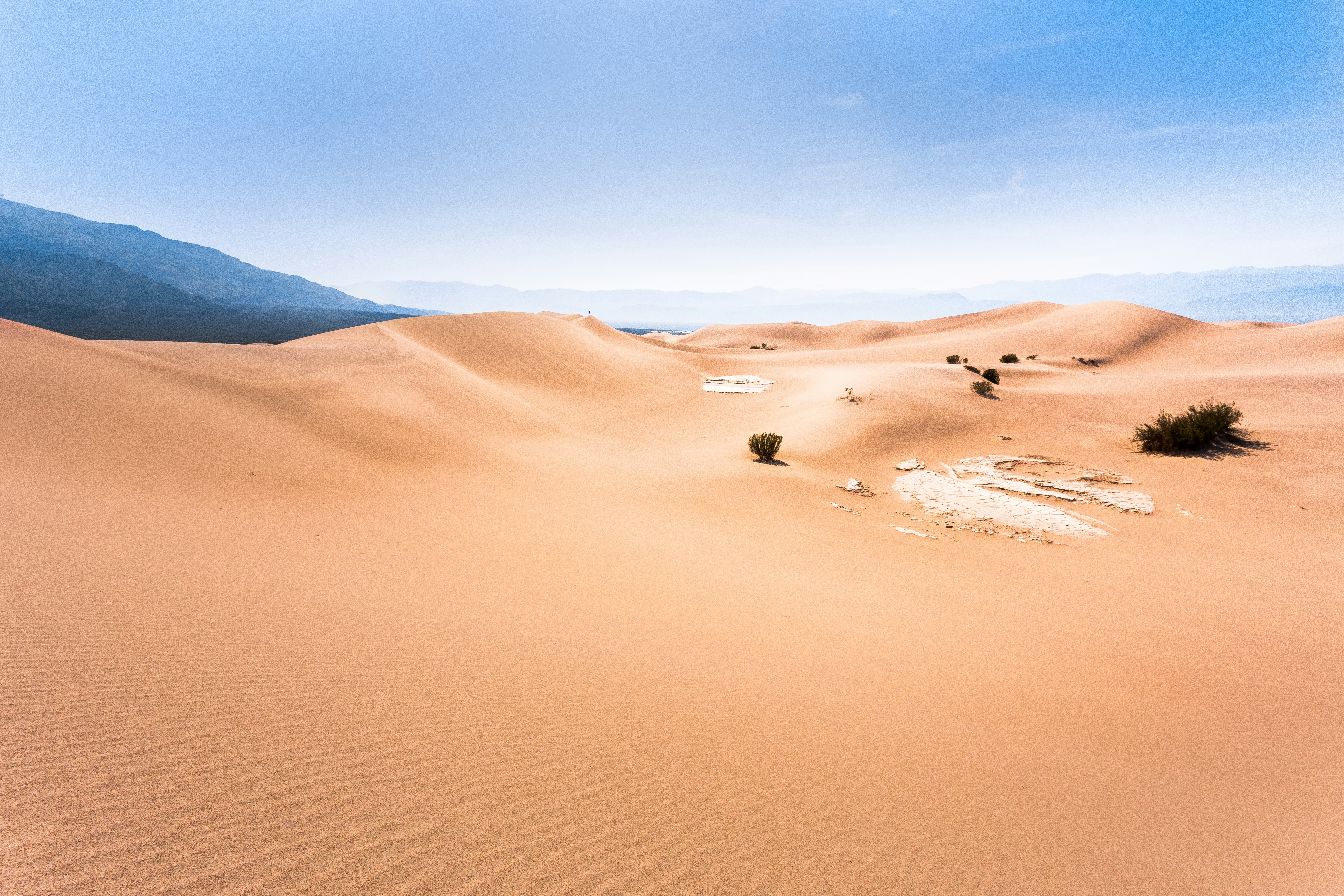 photo of desert dune